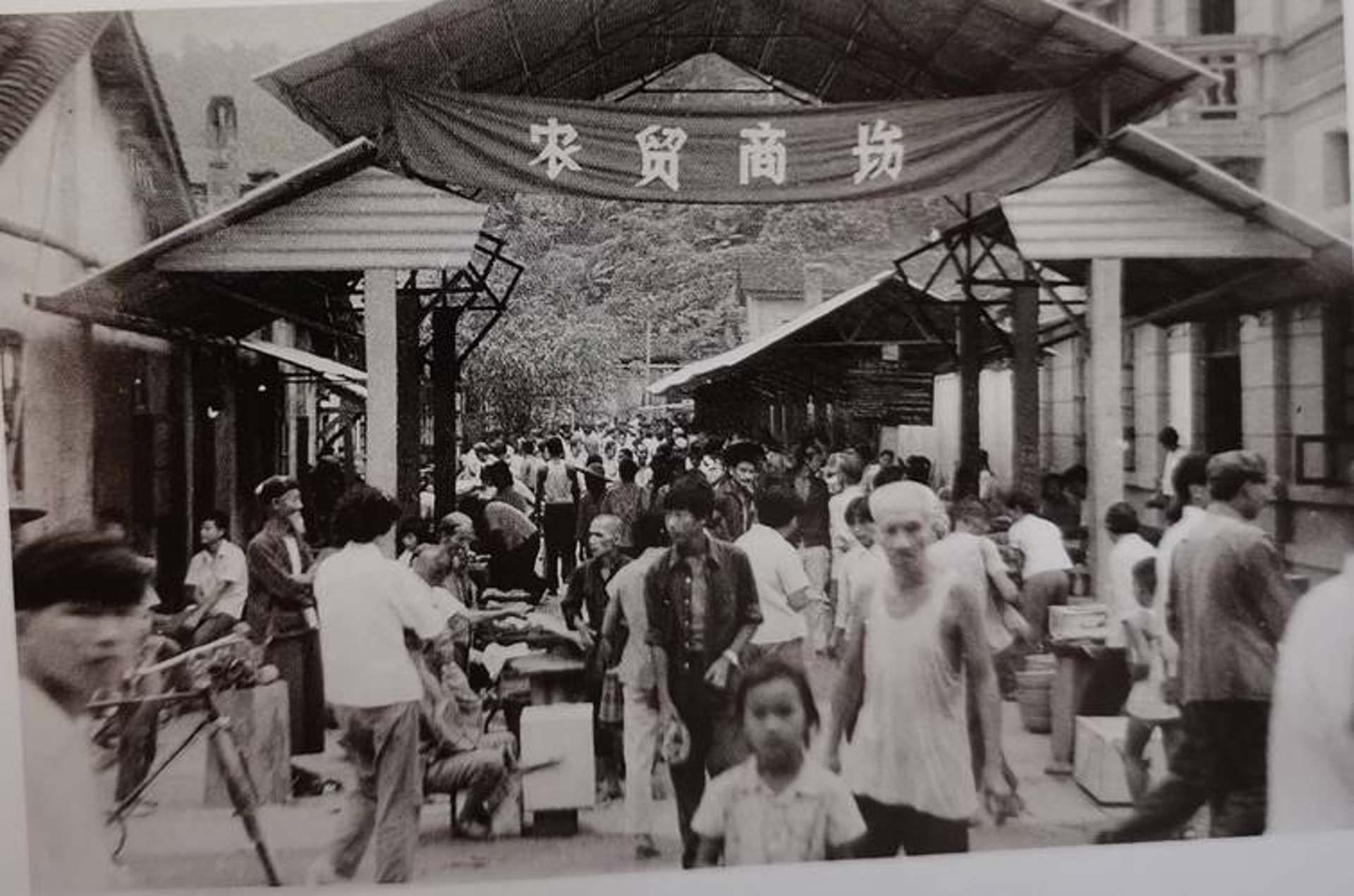 坦荣化工原料